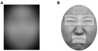 Effects of diagnostic regions on facial emotion recognition: The moving window technique